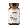 Basen Komplex
