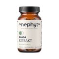 Chaga Extrakt