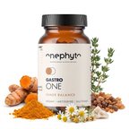 Gastro One