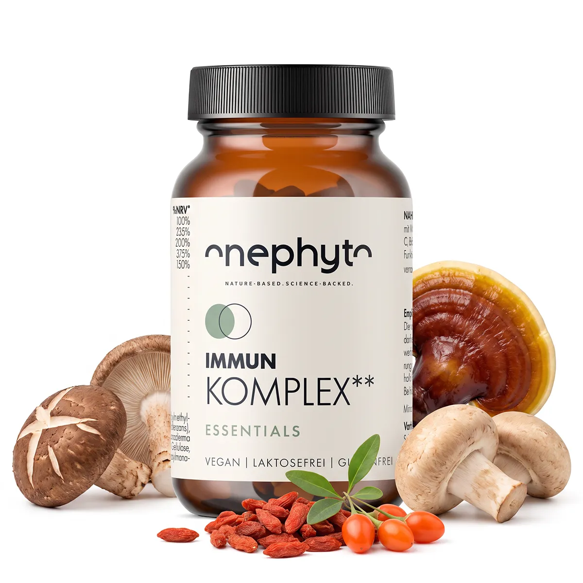 Immun Komplex