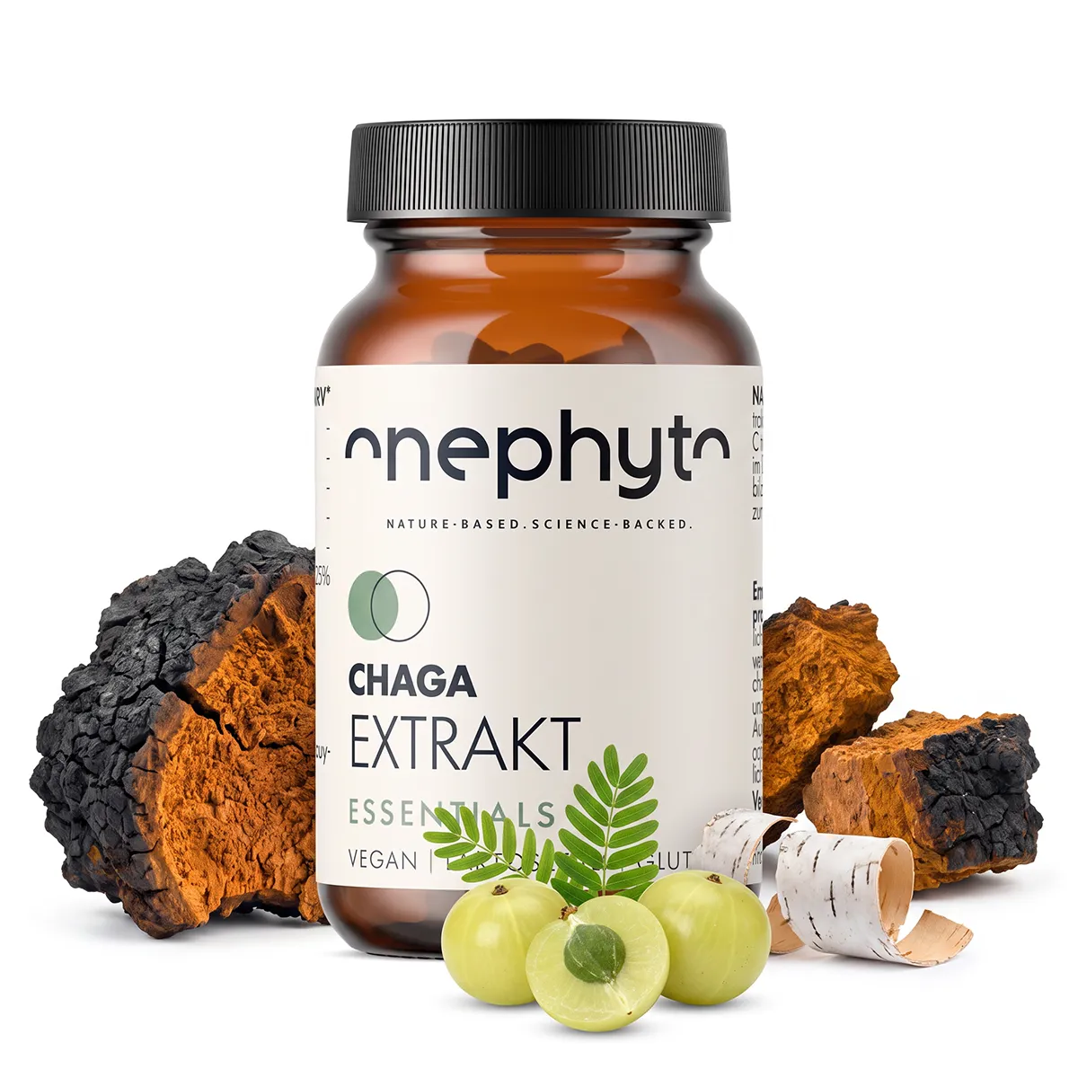 Chaga Extrakt