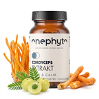 Cordyceps Extrakt