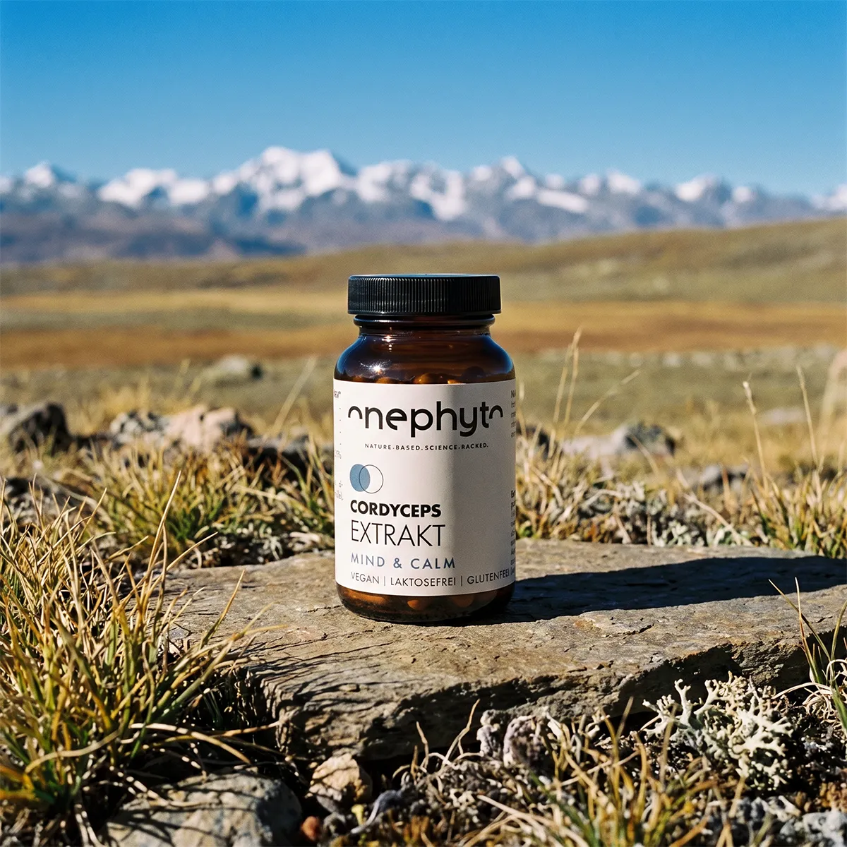 Cordyceps Extrakt