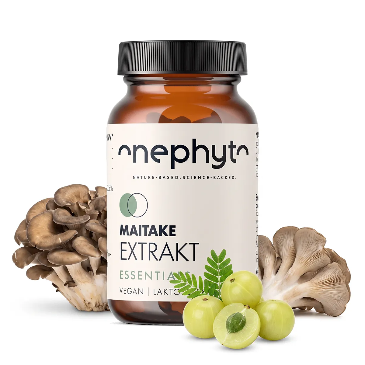 Maitake Extrakt
