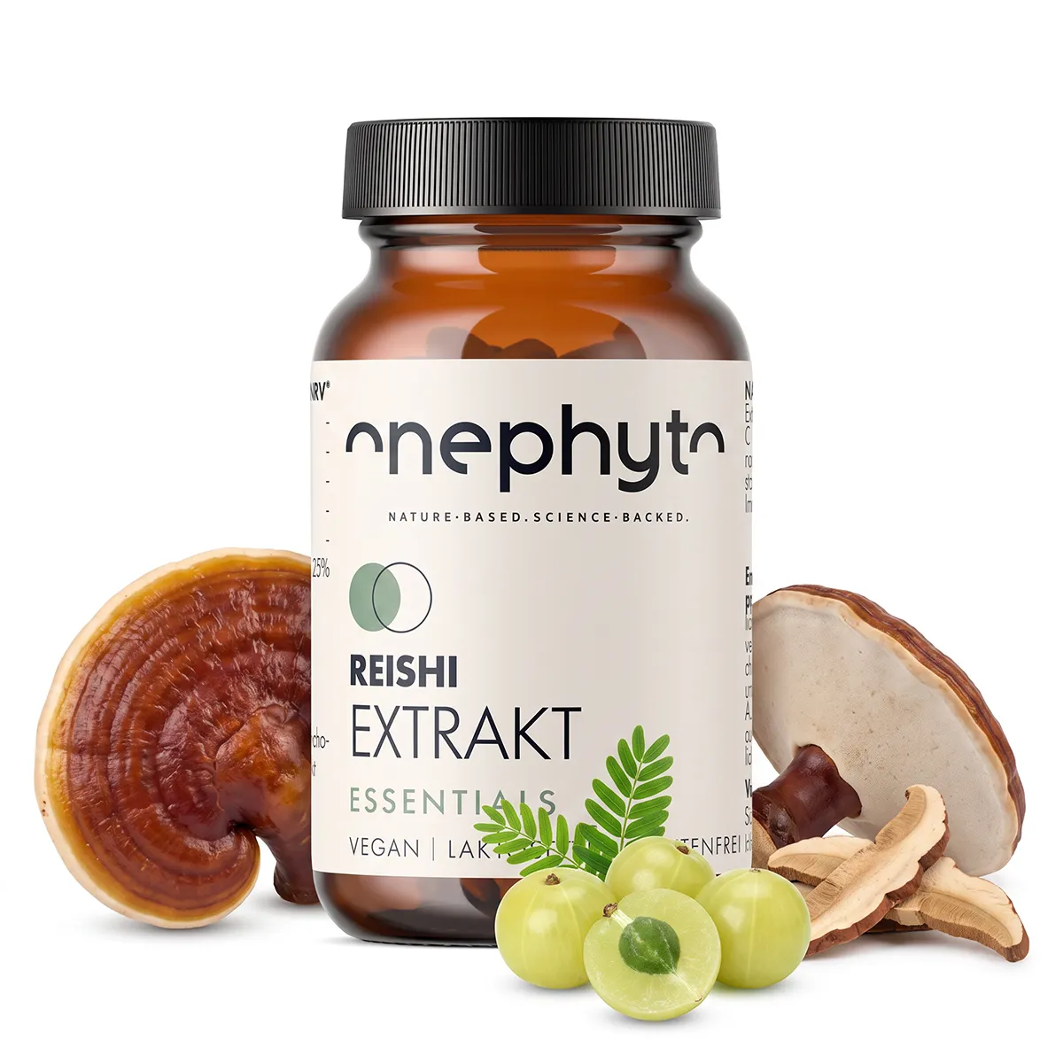 Reishi Extrakt