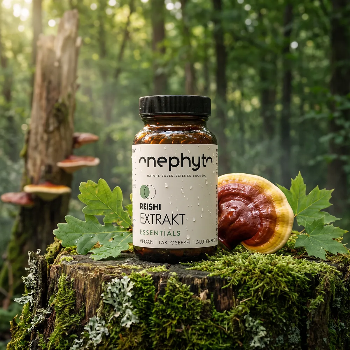 Reishi Extrakt